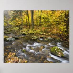 Poster Sanderson Brook.  Floresta Estadual Chester-Blanfo