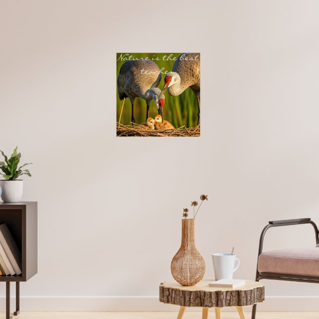 Poster Sandhill Cranes cuidando do seu jovem Muro Déco (Sala de Estar 3)