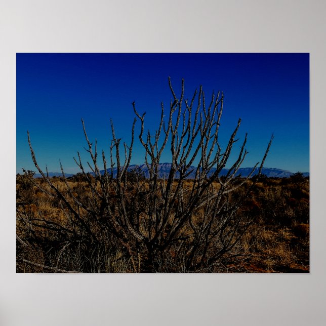 Poster Sandia Mountains Albuquerque  (Frente)
