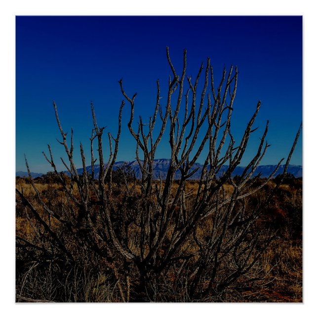 Pôster Sandia Mountains Albuquerque  (Frente)