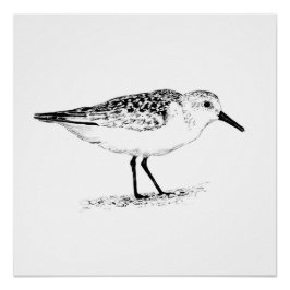Pôster sandpiper monochrome print