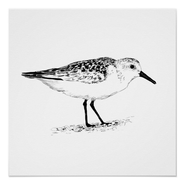 Pôster sandpiper monochrome print (Frente)