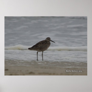Poster Sandpiper V