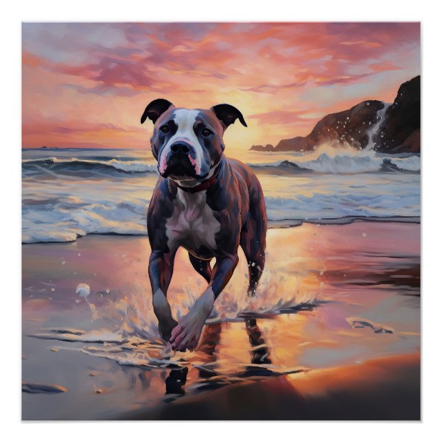 Pôster Sandy American Staffordshire Dog em Beach Sunset (Frente)