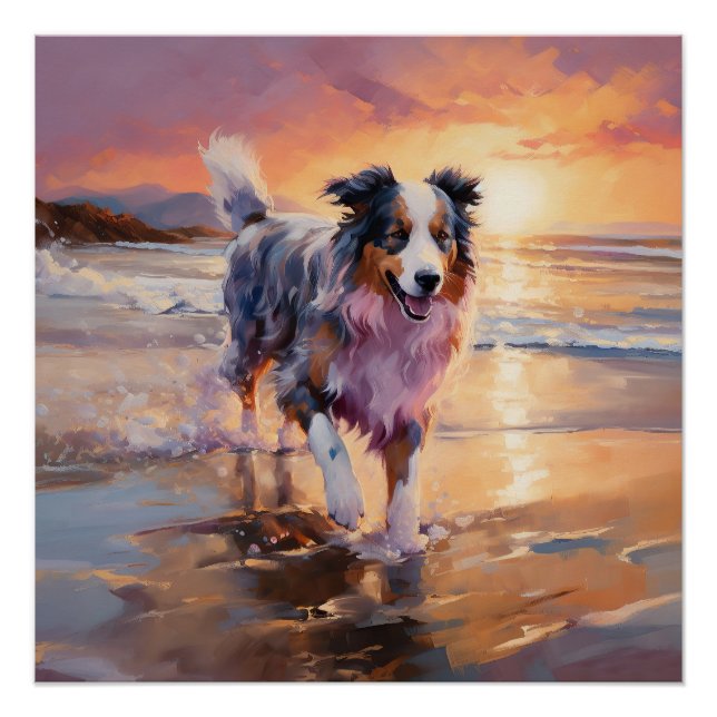 Pôster Sandy Australian Shepherd Dog on Beach Sunset (Frente)