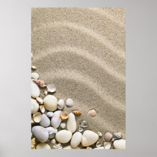 Poster Sandy Beach Background With Shells And Stones