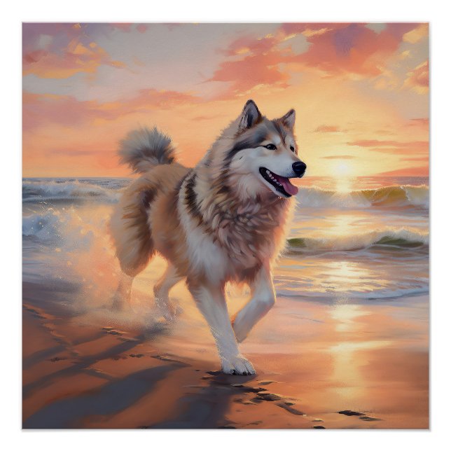 Pôster Sandy Paws Alaskan Malamute Dog em Beach Sunset (Frente)