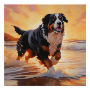 Pôster Sandy Paws Bernese Mountain Dog em Beach Sunset