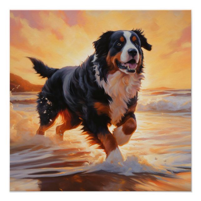 Pôster Sandy Paws Bernese Mountain Dog em Beach Sunset (Frente)