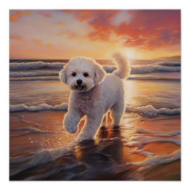 Pôster Sandy Paws Bichon Frise Dog em Beach Sunset (Frente)