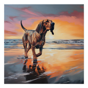 Pôster Sandy Paws Bloodhound Dog em Beach Sunset