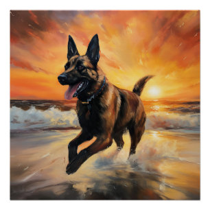 Pôster Sandy Paws Cachorro Malinois Belga em Beach Sunset