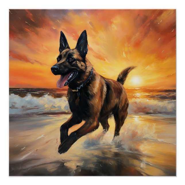 Pôster Sandy Paws Cachorro Malinois Belga em Beach Sunset (Frente)