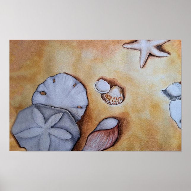 Poster Sandy Seashells (Frente)