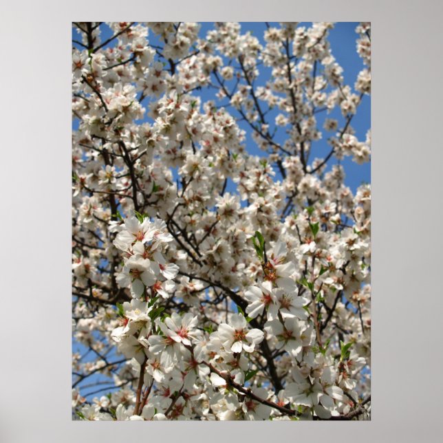 Pôster sangue (Frente)