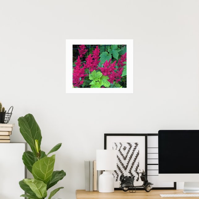 Poster Sangue Astilbe Rosa Profundo Floral (Escritório em casa)