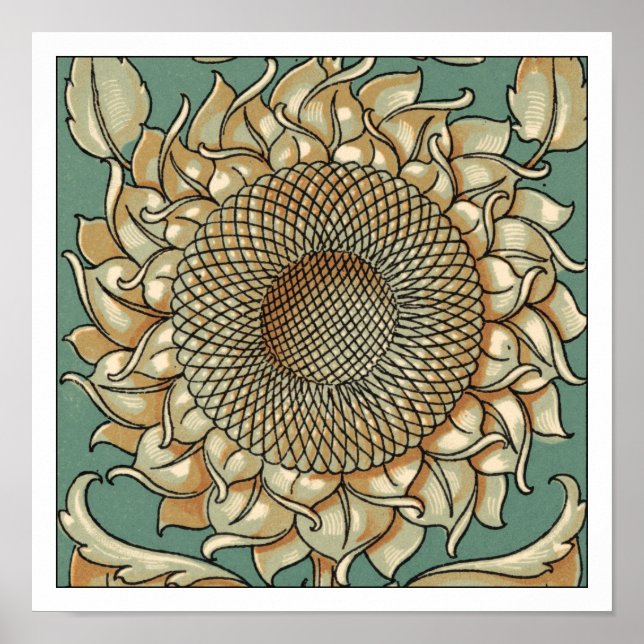 Pôster Sangue de girassol em fundo azul-esverdeado (Frente)