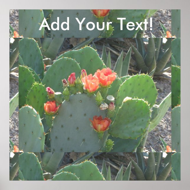 Pôster Sangue Vermelho Verde de Cactus Preto (Frente)