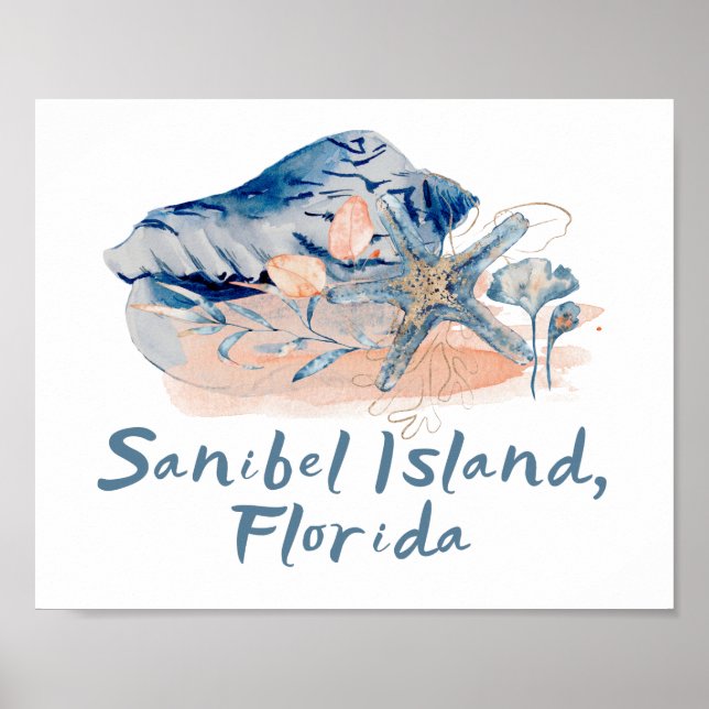 Poster Sanibel Island Seashells (Frente)