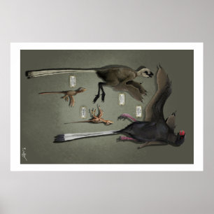 Pôster Sansoriopterygids do tamanho da vida