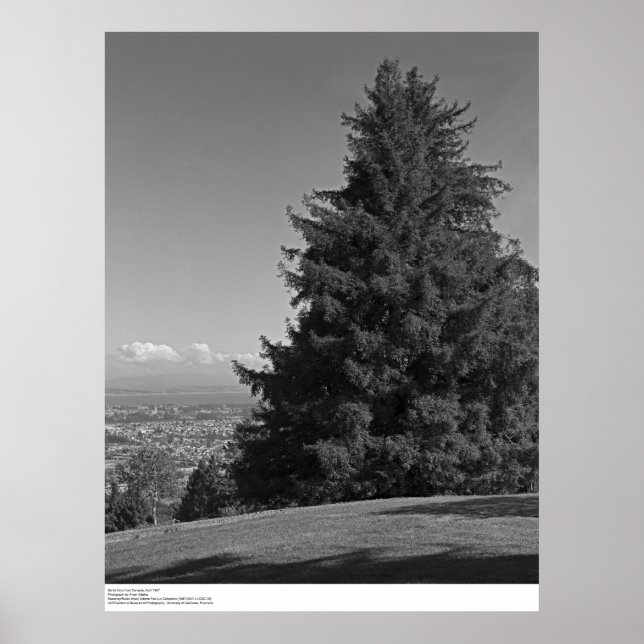 Pôster Santa Cruz from Campus, April 1967 (Frente)