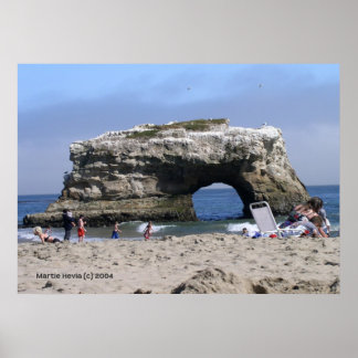 Poster Santa Cruz Natural Bridges Print