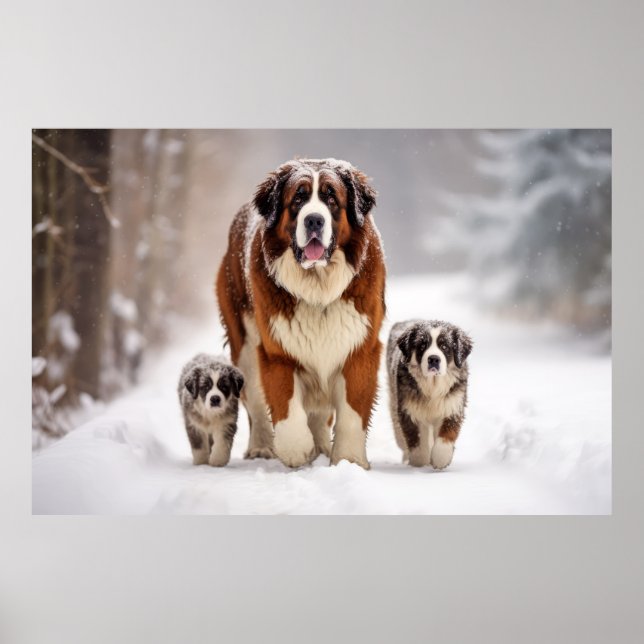 Poster Santo Bernard Pet Dog Animal Family (Frente)
