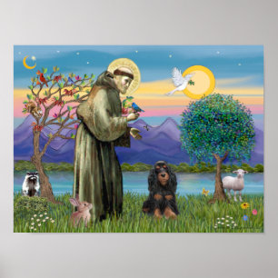 Poster Santo Francis e Black-Tan Cocker Spaniel