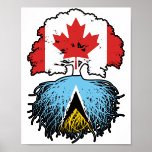Poster Santo Lucia Santo Lucian Canada Tree Root
