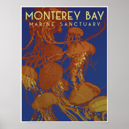 Poster Santuário Marinho da Baía de Monterey; águas-vivas