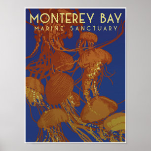 Poster Santuário Marinho da Baía de Monterey; águas-vivas