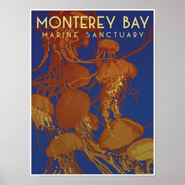 Poster Santuário Marinho da Baía de Monterey; águas-vivas (Frente)