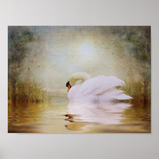 Poster Santuário no