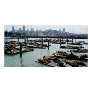 Pôster São Francisco e Leões Marinhos do Pier 39 Silhueta