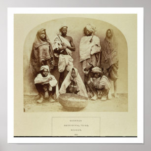 Poster Saonras, an Aboriginal Tribe from Saugor, Central