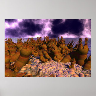 Pôster Sapato de Polip