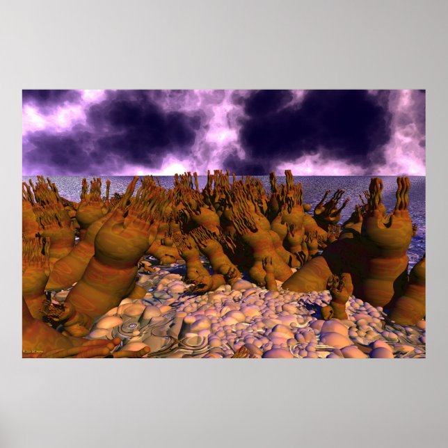 Pôster Sapato de Polip (Frente)