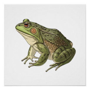 Pôster Sapo