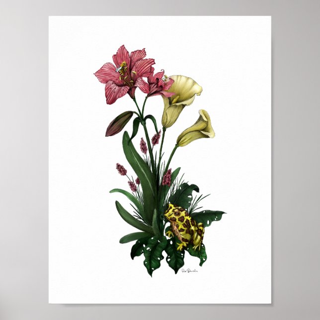 Poster Sapo Bonito Entre Os Lírios De Arte Floral Botânic (Frente)