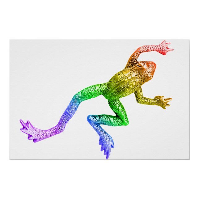 Pôster Sapo colorido arco-íris de SlipperyJoe renderizado (Frente)