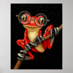 Poster Sapo de árvore vermelho bonito com vidros do olho
