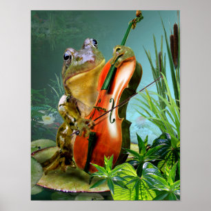 Poster Sapo de cena humorística tocando violoncelo em lil