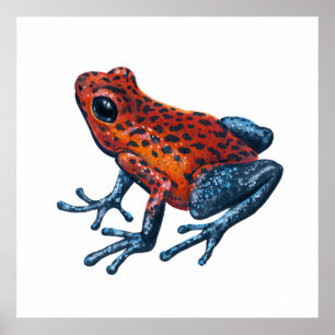 Poster Sapo de dardo Venenoso de Morango