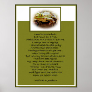 Pôster Sapo Em Um Log