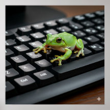Sapo em um teclado do computador