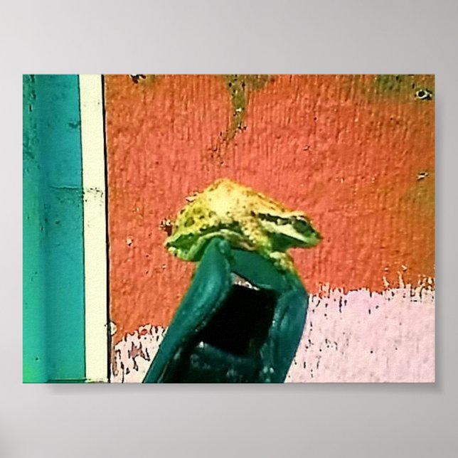 Poster Sapo em uma Capa de telefone de célula (Frente)