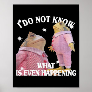 Poster Sapo Não Sei O Que Está Acontecendo