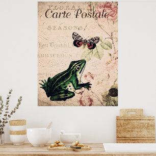 Poster Sapo Vintage e Borboleta Francês Floral