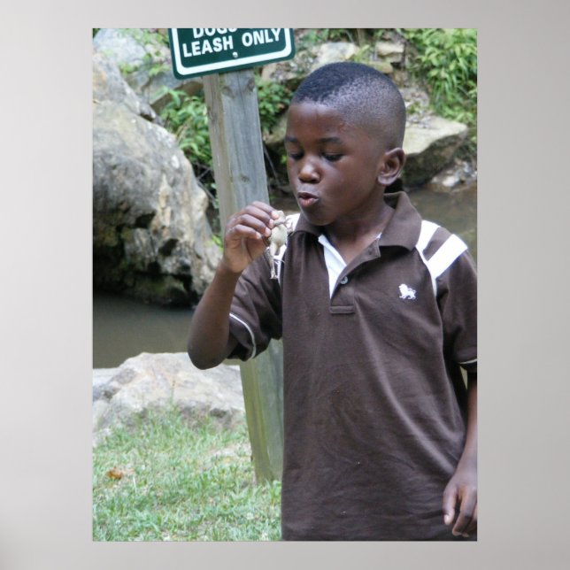 Pôster Sapos de Verão (Frente)