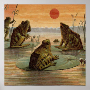 Pôster Sapos Lily Pads Ilustração da Lua